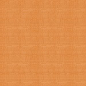 Тэфи 11